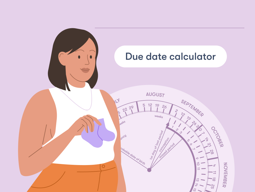 Pregnancy Conception Calculator​